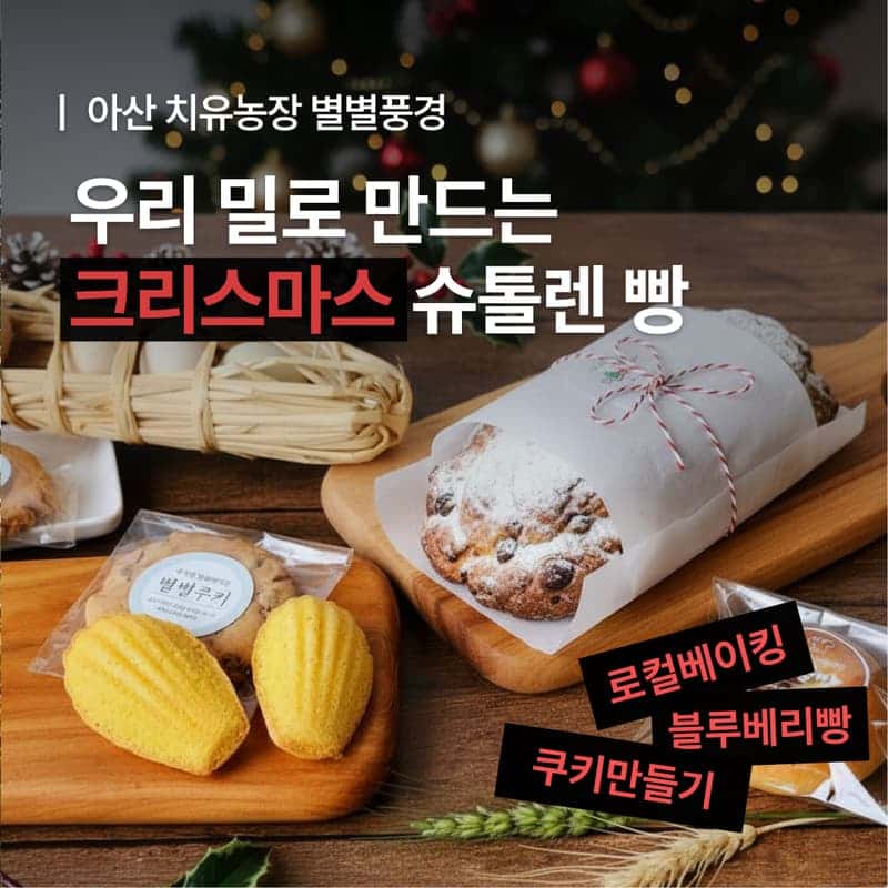 [아산/당일] 별별풍경 치유농장 ㅣ 유기농 우리밀로 만드는 크리스마스 베이킹 🍞🎄 사진 1