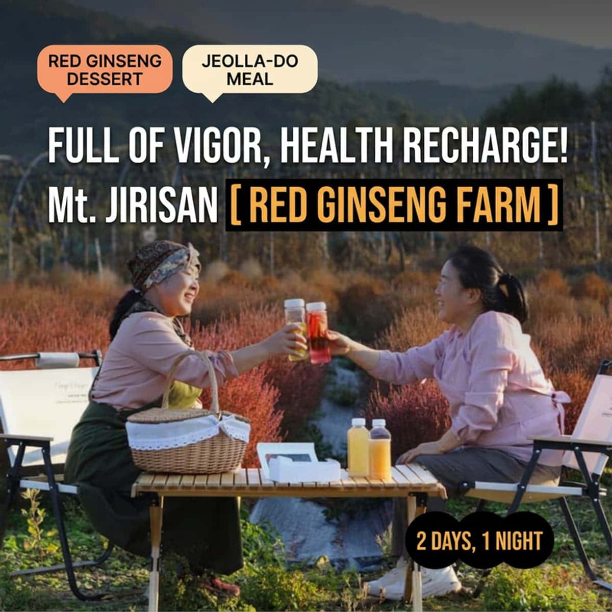 [Namwon/1 Night] Jeonggane Red Ginseng Farm at 600m Altitude in Jirisan (Jiri Mountain) | Red Ginseng Dessert + Jeolla-do Meal 🫚🏔️ photo 1