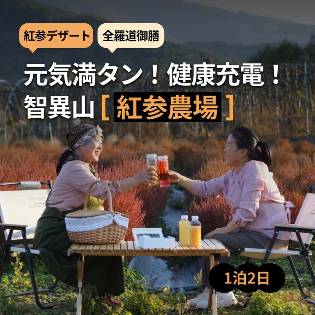 [南原 (ナムウォン)/1박] 智異山 (チリサン) 600高地 紅参農場 ジョンガネ・ザ・チユ (Jeonggane The Chiyu) ㅣ 紅参デザート+全羅道のごちそう 🫚🏔️の写真1