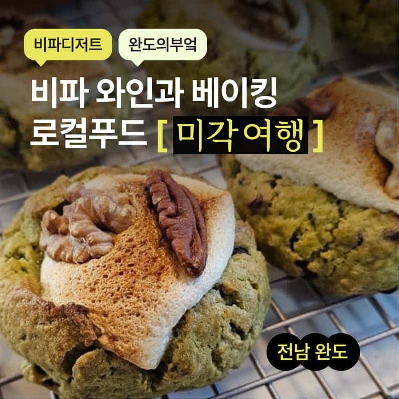 [완도/1박] 비파마을 미각여행ㅣ비파와인과 디저트+베이킹&드로잉 클래스 🧁🎨 사진 1