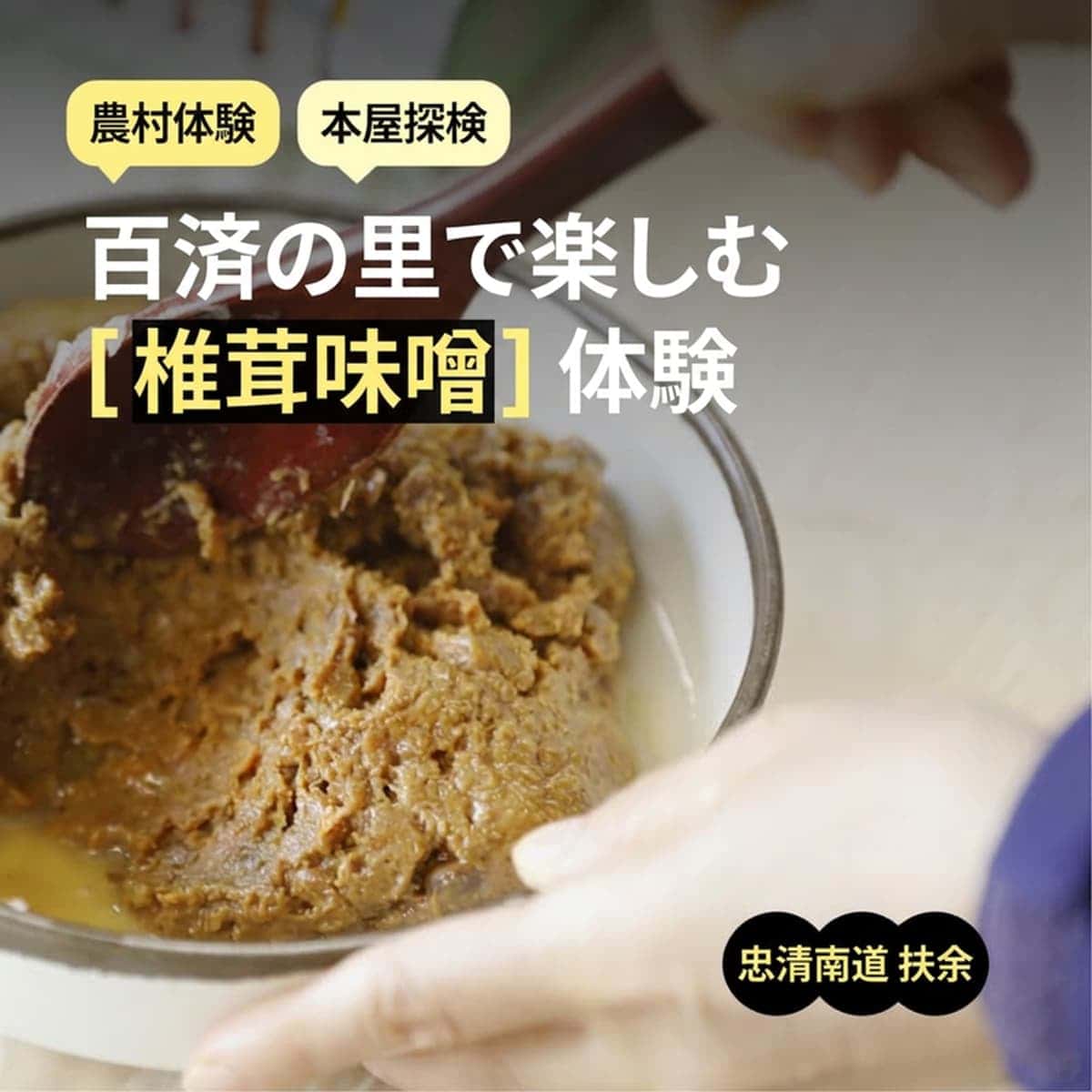 [扶余/当日] 百済文化 農村体験 ㅣ 伝統 椎茸味噌作り ⚱️の写真1