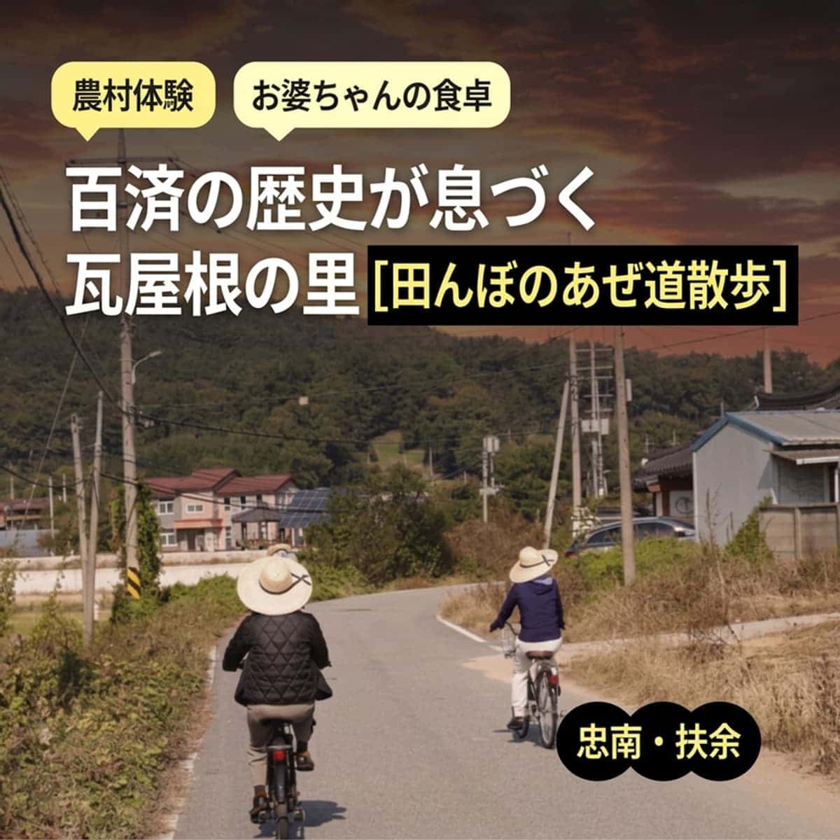 [扶余/1泊] ノントゥロンマシル（田んぼ道散歩）｜おばあちゃんの手料理2食と農村体験 🌾の写真1