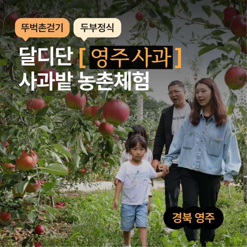 [영주/1박] 한밤실마을 동네마실, 사과향 가득한 농촌체험 🍎 사진 1