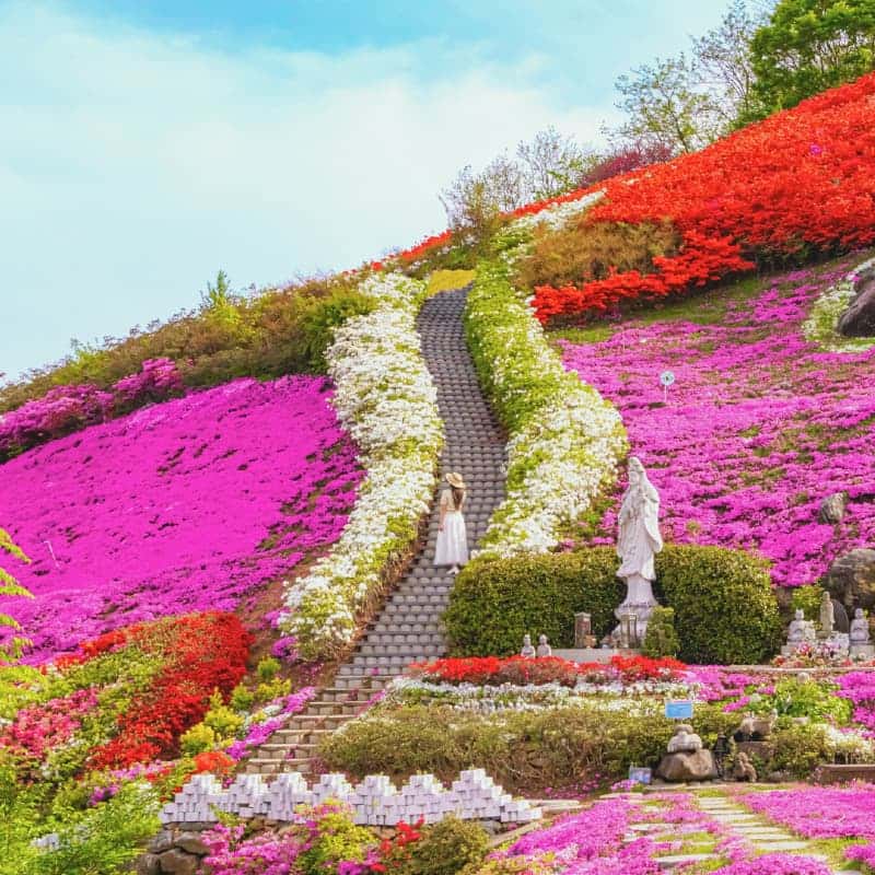[산청/1박] 한방 웰니스의 도시, 봄빛 산청 패키지여행 🌸 사진 2