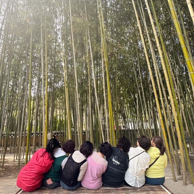 [산청/1박] 한방 웰니스의 도시, 봄빛 산청 패키지여행 🌸 사진 7