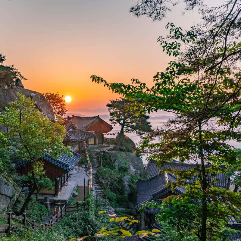 [산청/1박] 한방 웰니스의 도시, 봄빛 산청 패키지여행 🌸 사진 8