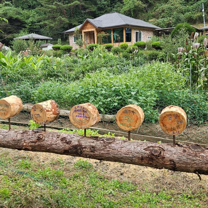 [영월,두산청옥계곡] 숲속 아늑한 퍼머컬처 가든 스테이 체험 사진 1