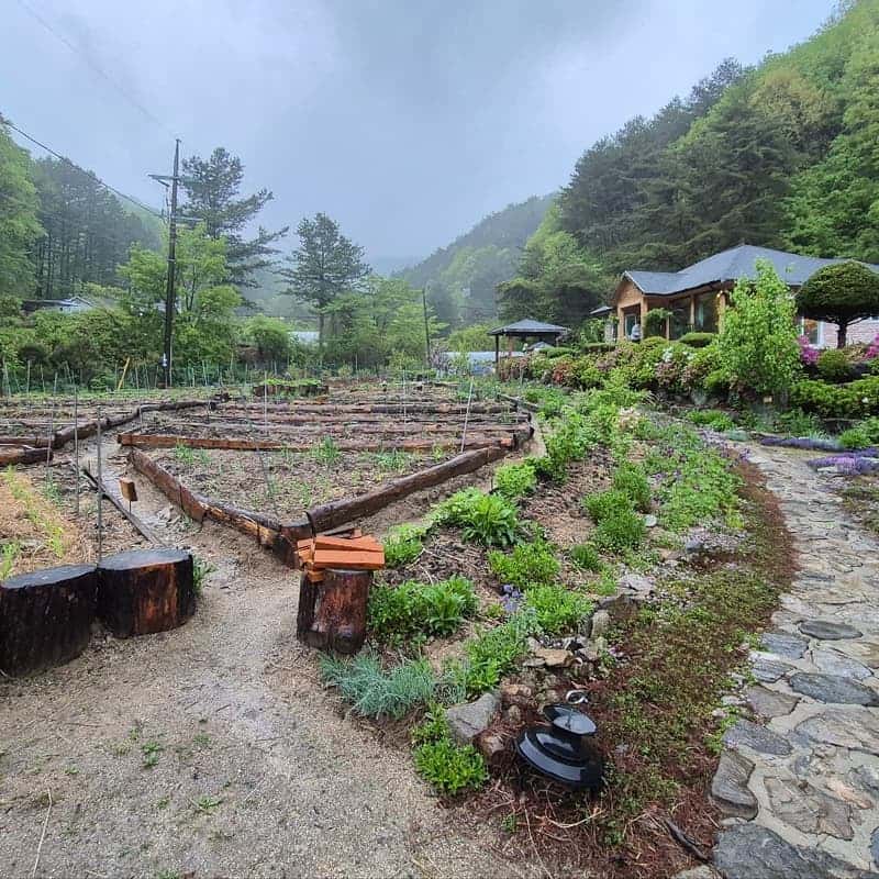 [영월,두산청옥계곡] 숲속 아늑한 퍼머컬처 가든 스테이 체험 사진 3