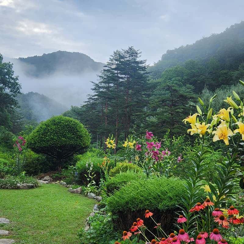 [영월,두산청옥계곡] 숲속 아늑한 퍼머컬처 가든 스테이 체험 사진 5