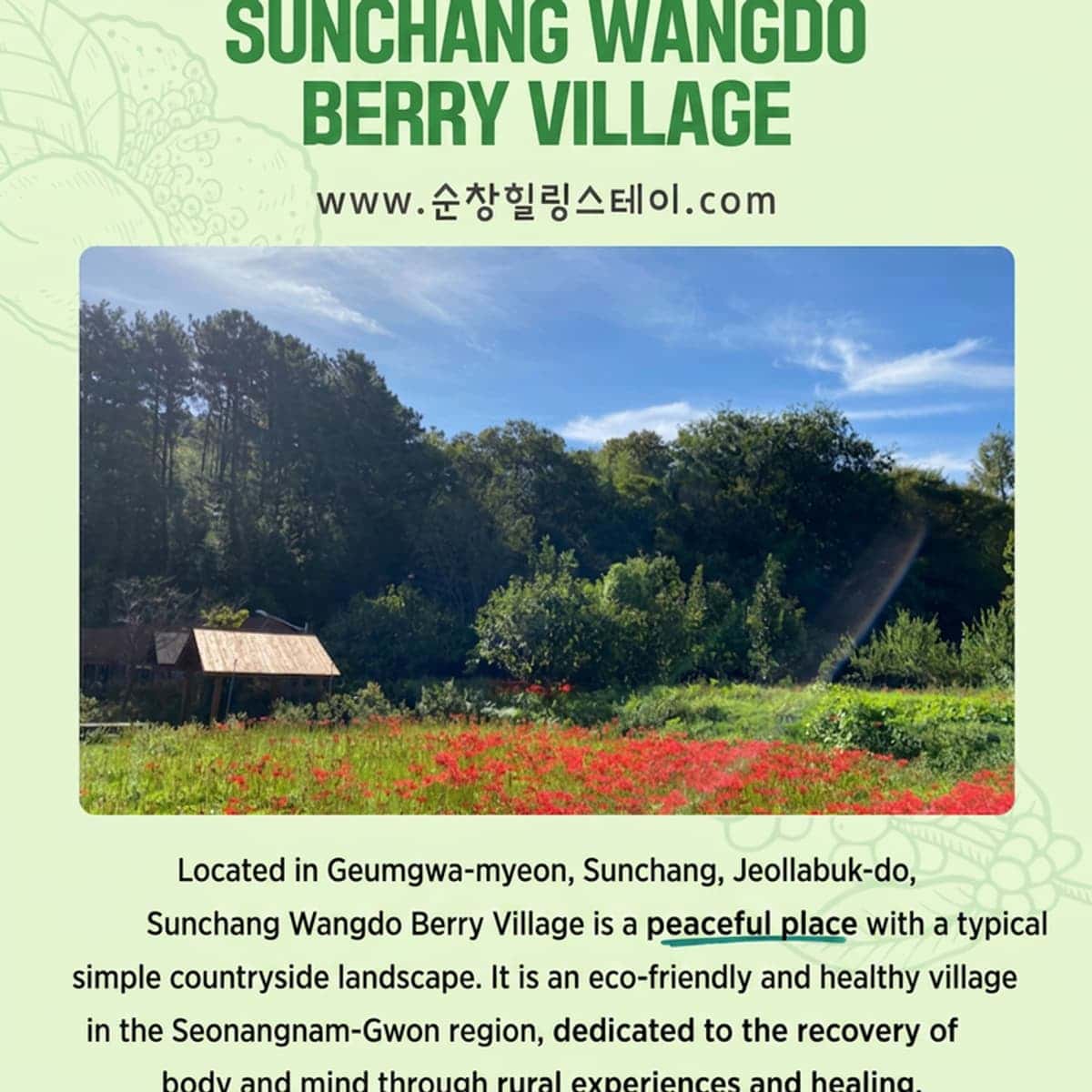 [Sunchang] Healing Stay, 2 Meals + Campfire + Experience Program photo 6