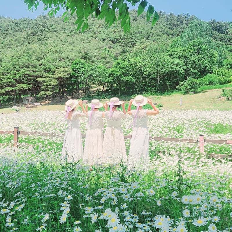 [고창] 아름다운 고창에 반하다-안전한 여행, 안심 공간 사진 6