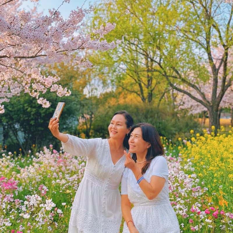 [거창/1박] 봄에 머무는 🌷꽃길투어🌷 신비한 웰니스 거창 패키지여행 사진 2