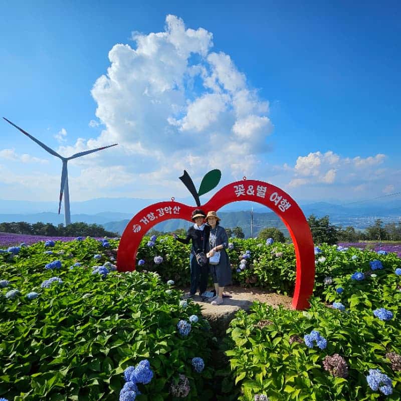 [거창/1박] 봄에 머무는 🌷꽃길투어🌷 신비한 웰니스 거창 패키지여행 사진 6