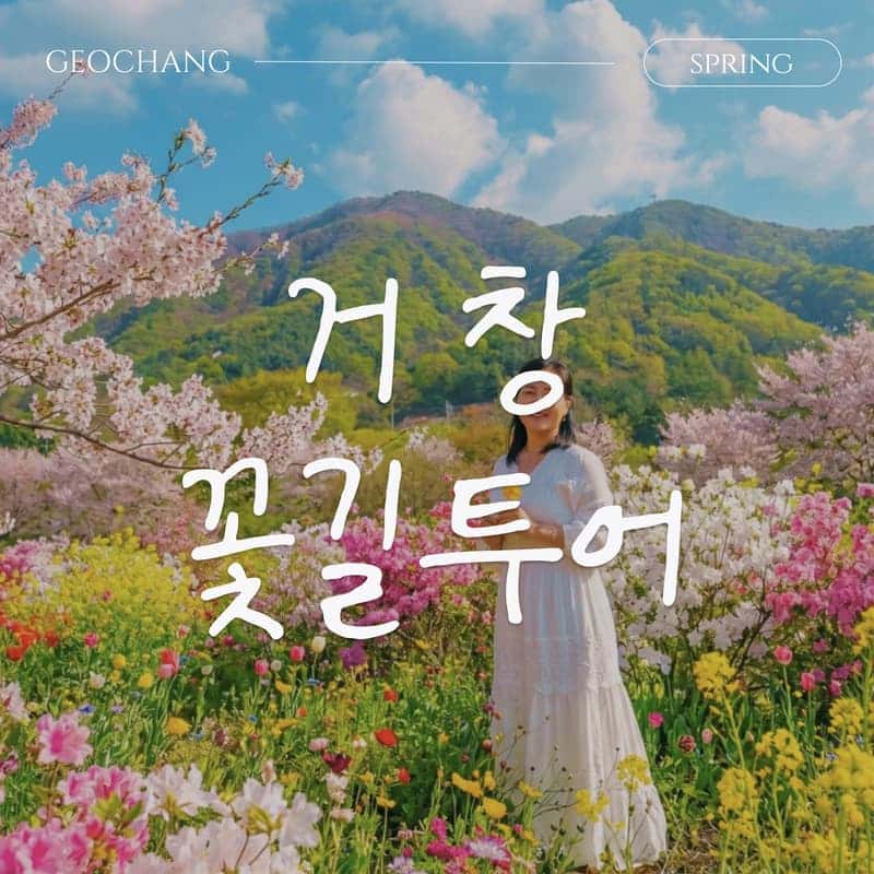 [거창/1박] 봄에 머무는 🌷꽃길투어🌷 신비한 웰니스 거창 패키지여행