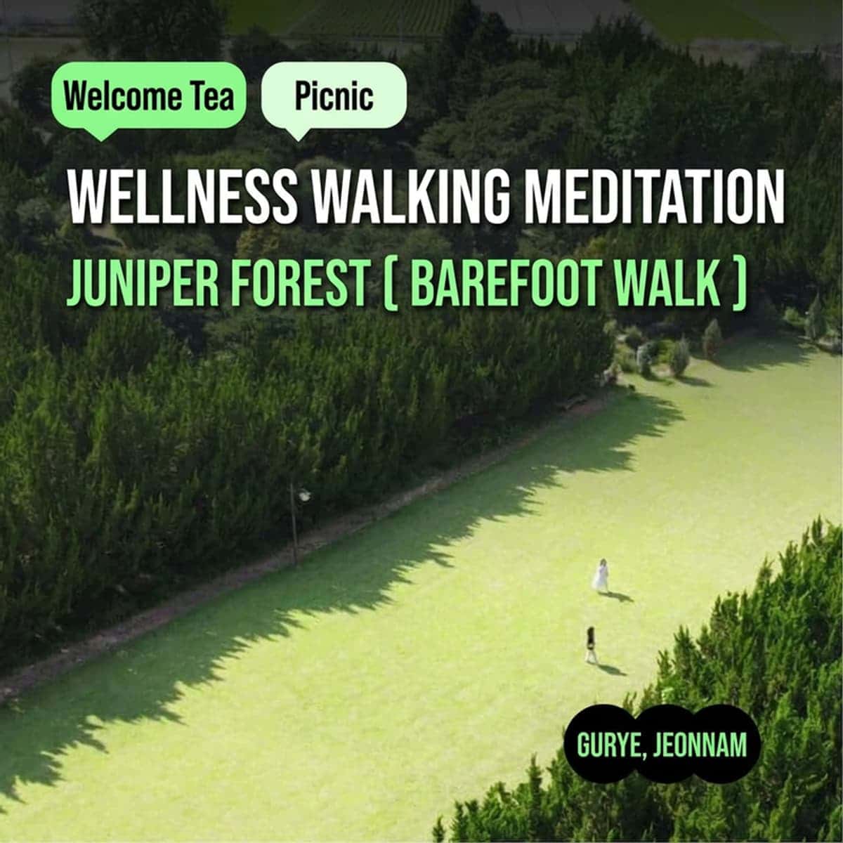 [Gurye/1 Night] Jirisan Scenery, Juniper Forest Garden + Walking Meditation + 1 Meal🌲