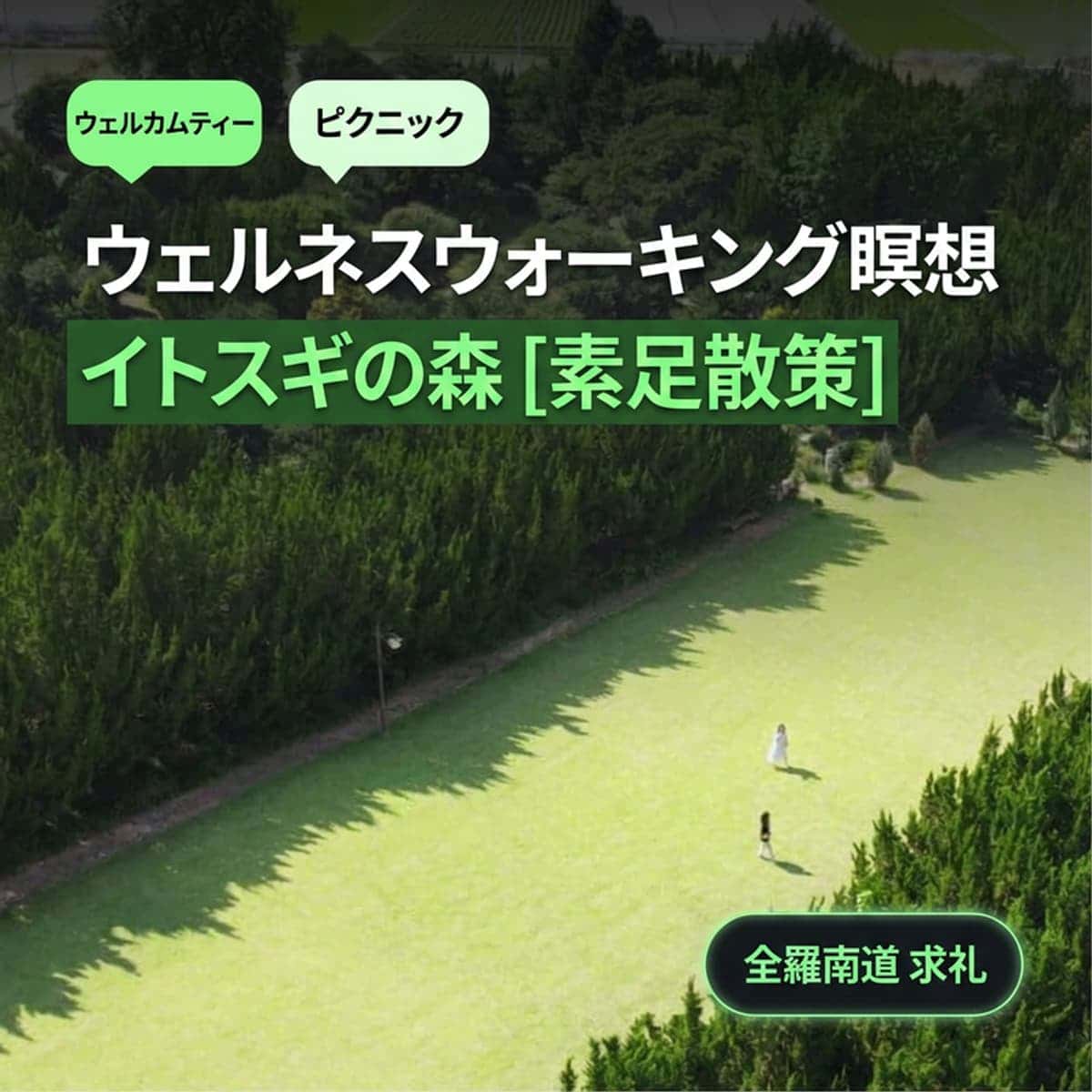 [求礼/1泊] 智異山の風景、イトスギの森の庭園+歩く瞑想+お食事1食🌲