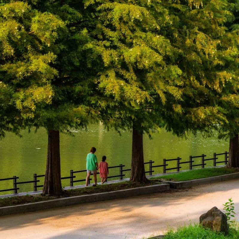 [담양/1박] 대숲마실 담양 패키지여행 ㅣ 죽녹원+메타세콰이아+남도미식🎋 사진 3