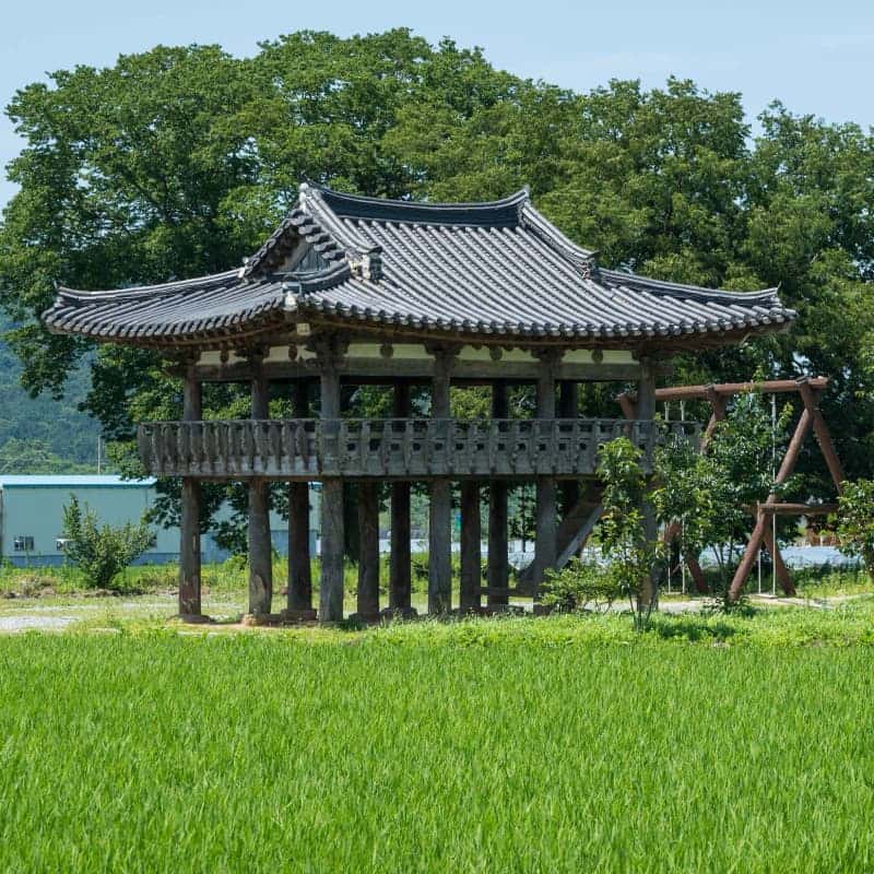 [담양/1박] 대숲마실 담양 패키지여행 ㅣ 죽녹원+메타세콰이아+남도미식🎋 사진 5