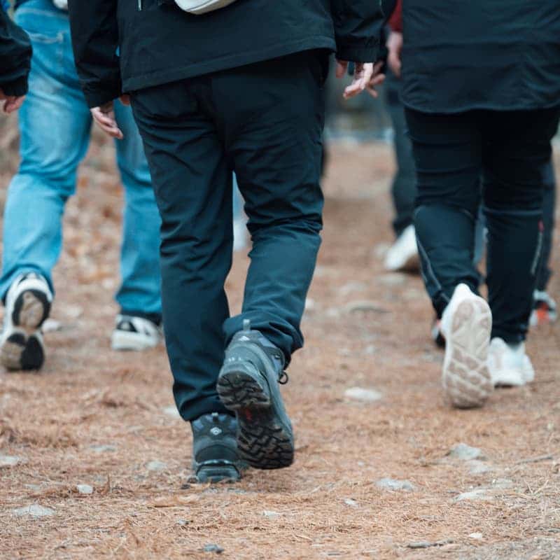 [당일/서울출발] 금산 시나브로 치유길 (트래킹, 인삼주공장 / 가이드, 숲해설사 동행) 사진 2