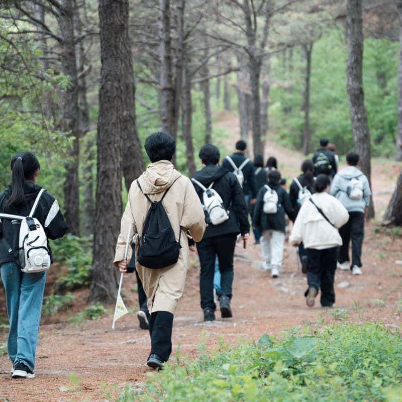 [당일/서울출발] 금산 시나브로 치유길 (트래킹, 인삼주공장 / 가이드, 숲해설사 동행) 사진 1