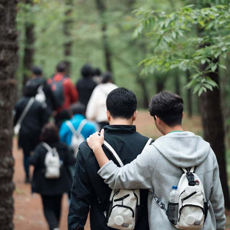 [당일/서울출발] 금산 시나브로 치유길 (트래킹, 인삼주공장 / 가이드, 숲해설사 동행) 사진 3