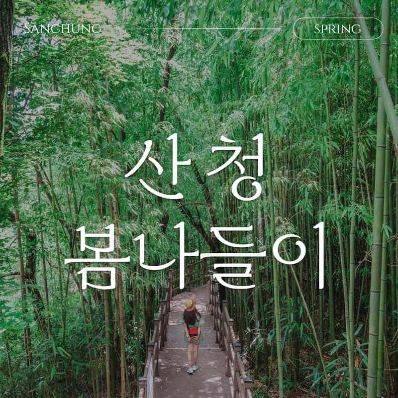 [산청/당일] 따스한 봄날에 떠나는 산청 가정의달 봄나들이💐 사진 1