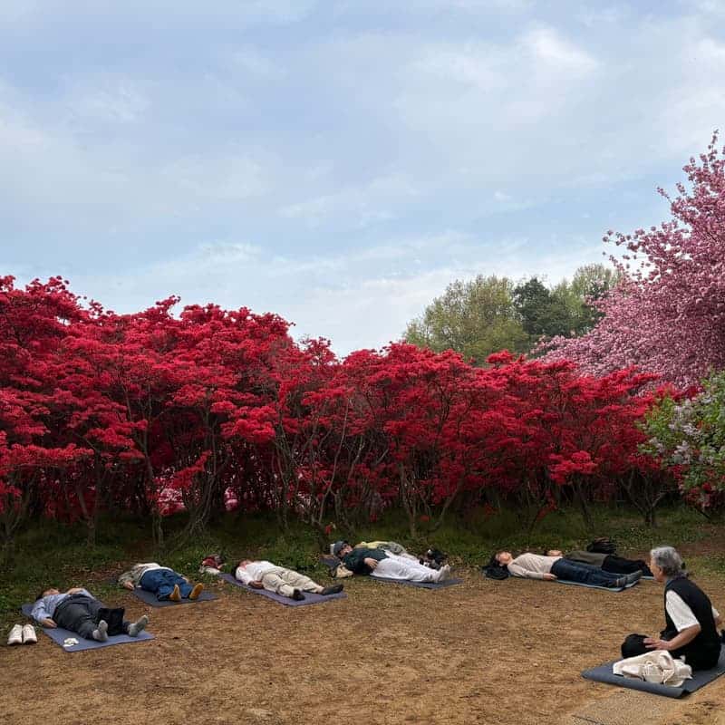 [전주/1박] 깨진 마음을 금빛으로, 킨츠기 치유 스테이🌟(식사 두 끼 포함) 사진 3