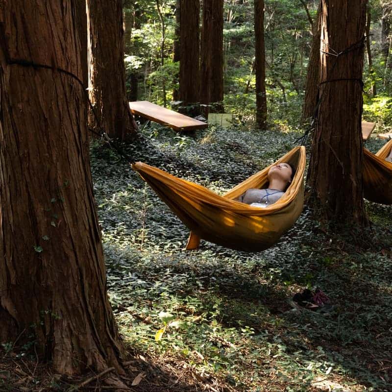 [해남/1박] 땅끝 숲으로 떠나는  육감 힐링 여행🧘🏻‍♀️ 사진 2