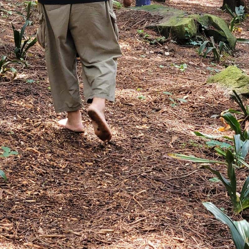 [해남/1박] 땅끝 숲으로 떠나는  육감 힐링 여행🧘🏻‍♀️ 사진 3
