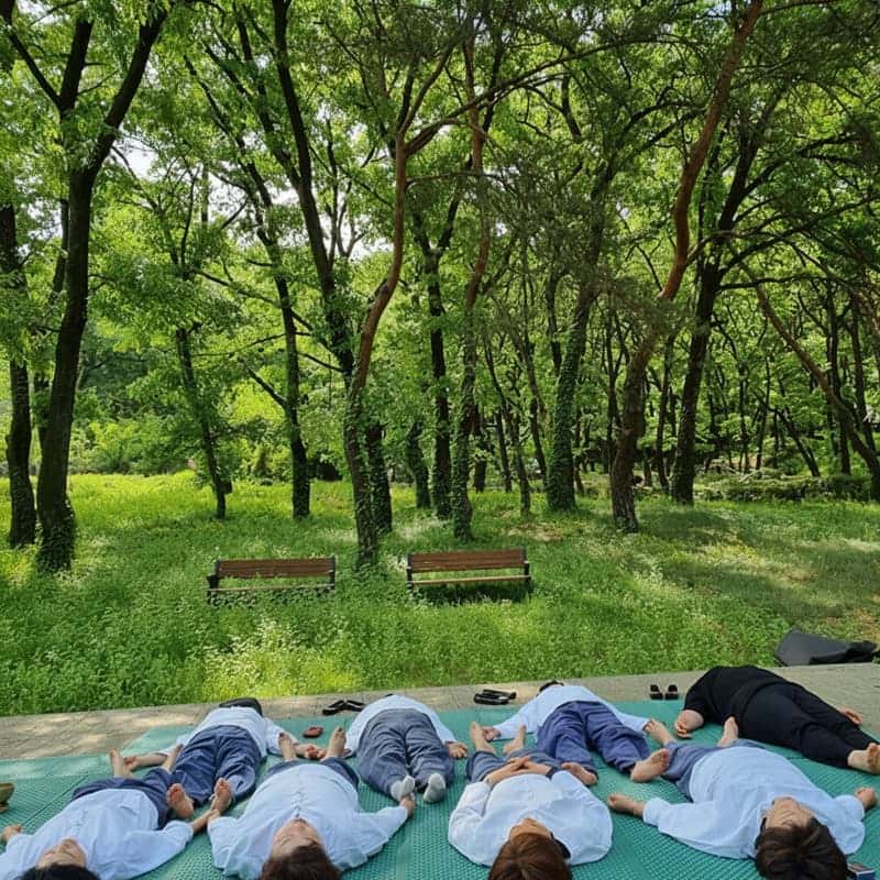 [거창/1박] 자연 속 싱잉볼+요가+차명상+건강식 - 로컬 웰니스 리트릿 🧘🏻‍♀️ 사진 4