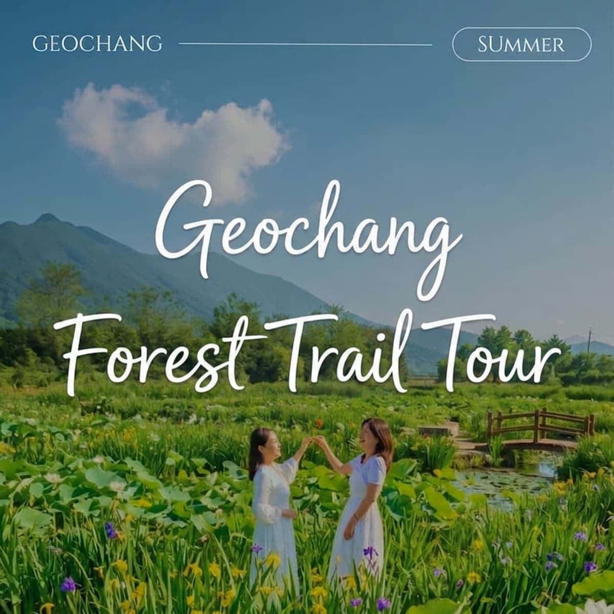 [Geochang/1 Night] Staying in Early Summer 🌿Forest Trail Tour🌿 Mysterious Wellness Geochang Package Tour