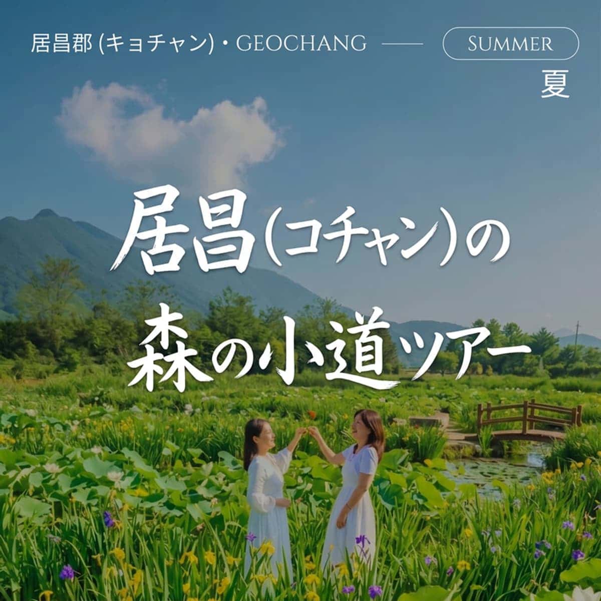 [居昌（コチャン）/1泊] 初夏に留まる 🌿森의道ツアー🌿 神秘的なウェルネス居昌パッケージ旅行