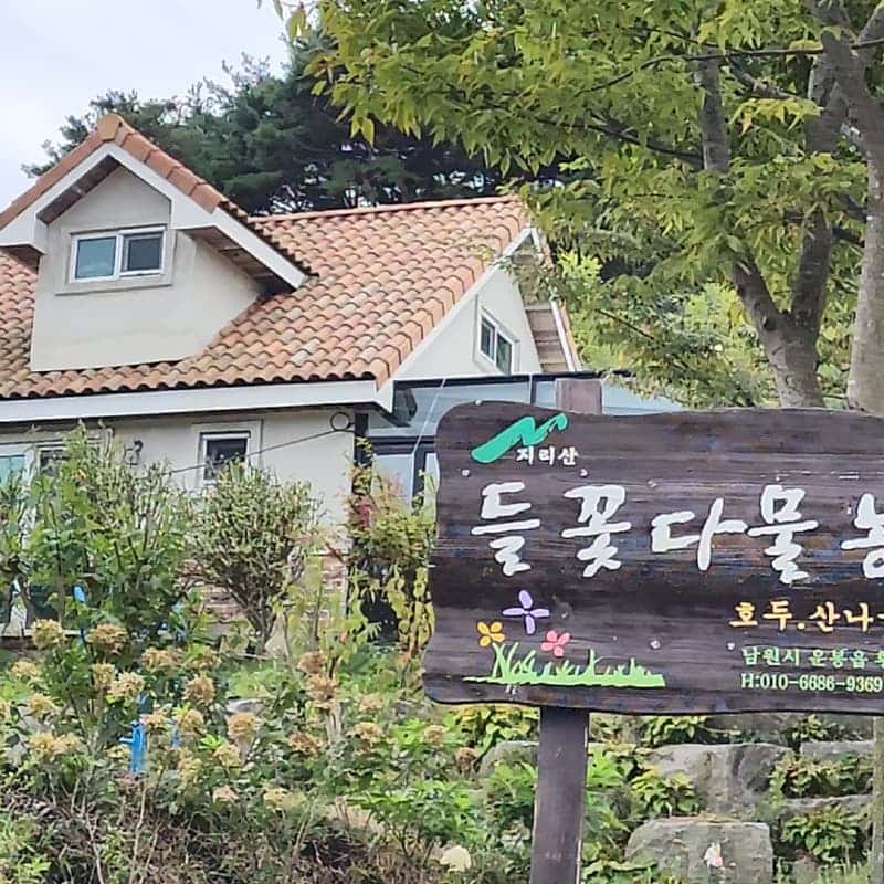 [남원/1박]지리산 숲속 어드벤처 ㅣ 짚라인+흑돈 바베큐+산나물피크닉 사진 4