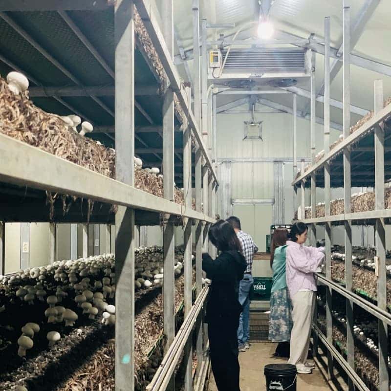 [부여/1박]시골마을 여름방학 단체여행 ㅣ 바베큐+시골밥상+물놀이+피자만들기+양송이수확체험 사진 8