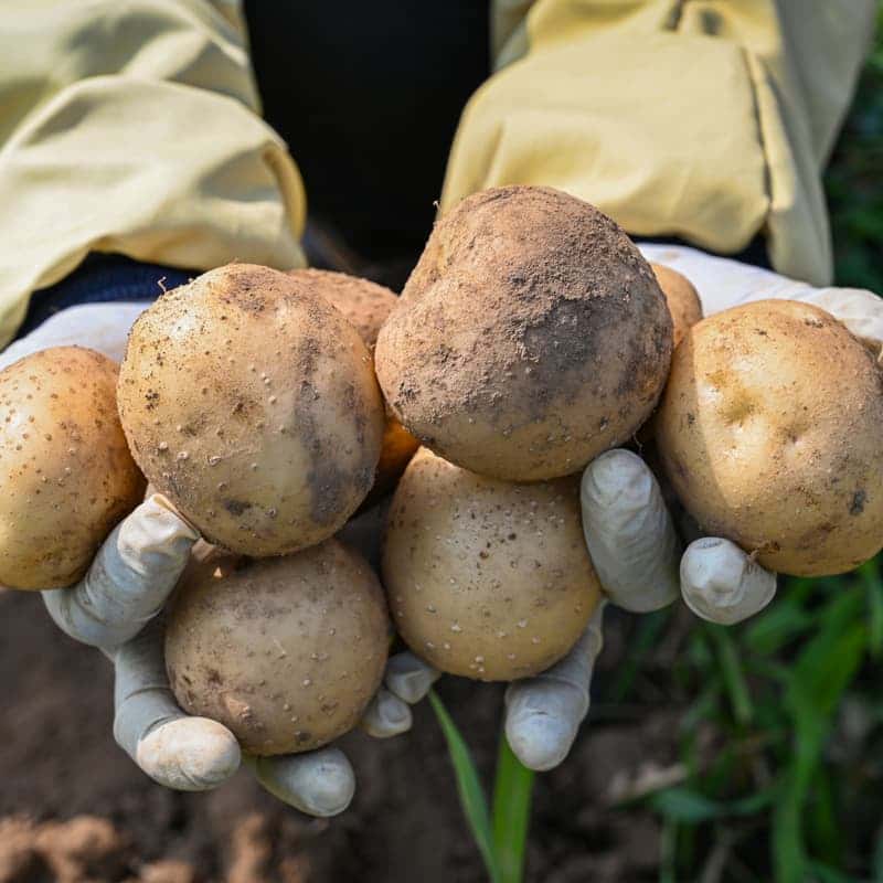 [포항/1박] 텃밭과 건강한 밥상이 있는 두렁마을  시골살이 사진 3