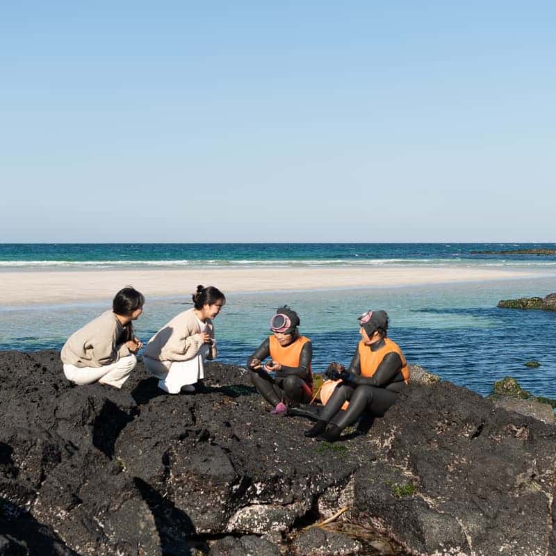 [제주/3일] 세화 해녀학교 교환학생 ㅣ 바당식탁+물질체험+수료증발급🤿🐚 사진 2