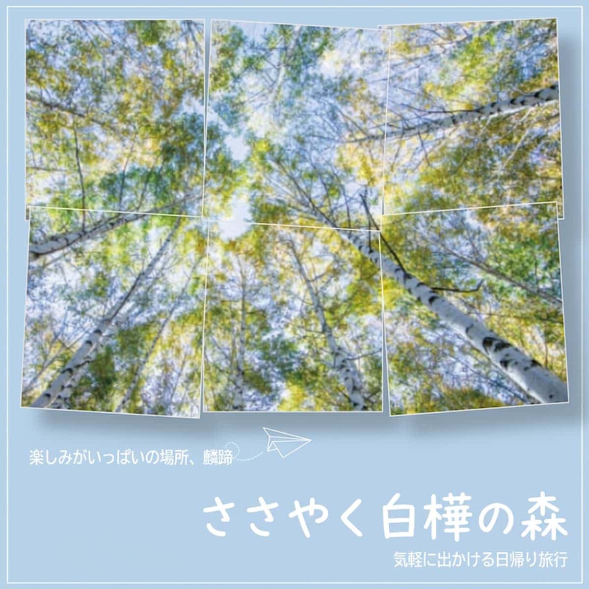 [麟蹄/日帰り] ささやく白樺の森