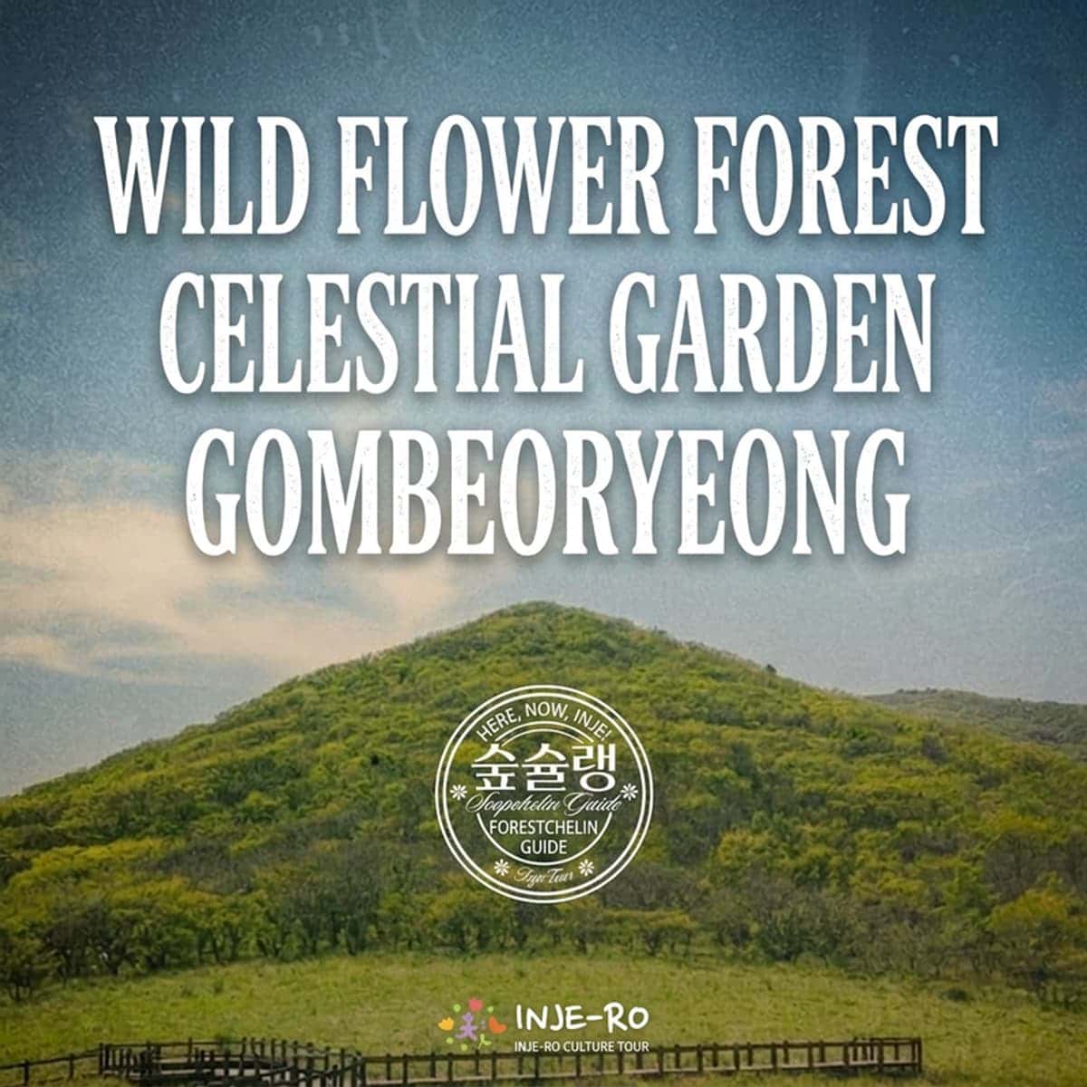[Inje/Accommodation] Wildflower Forest, Heaven's Garden: Gombeoryeong photo 1