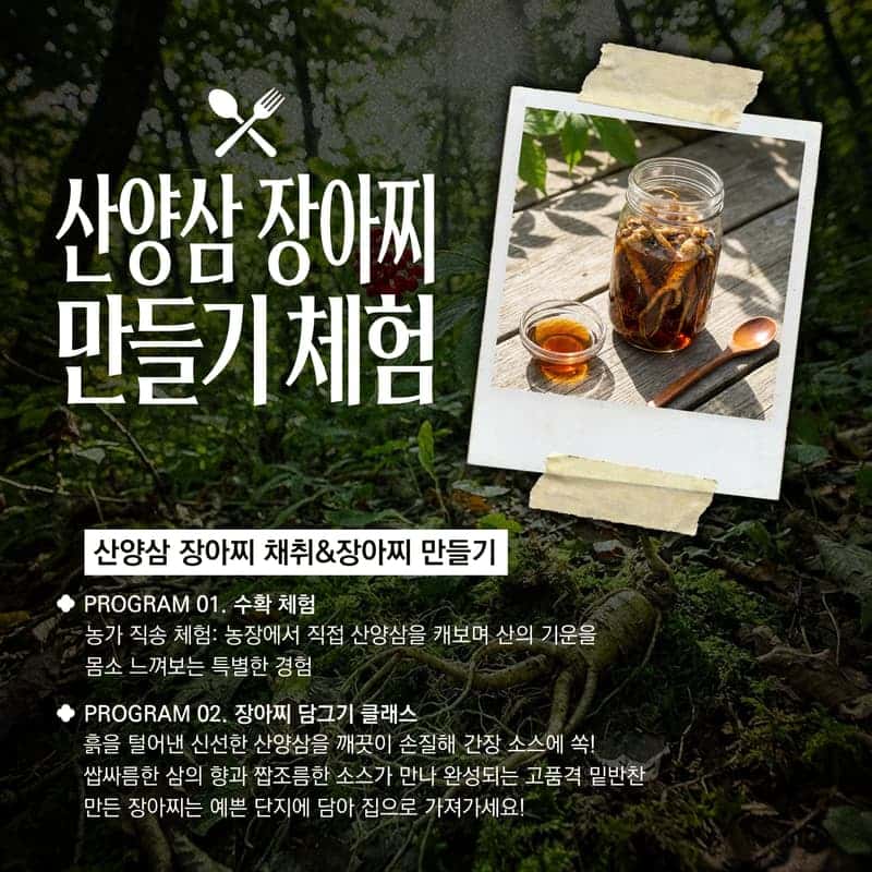 [인제/숙박]야생화의 숲 천상의 화원, 곰배령 사진 4