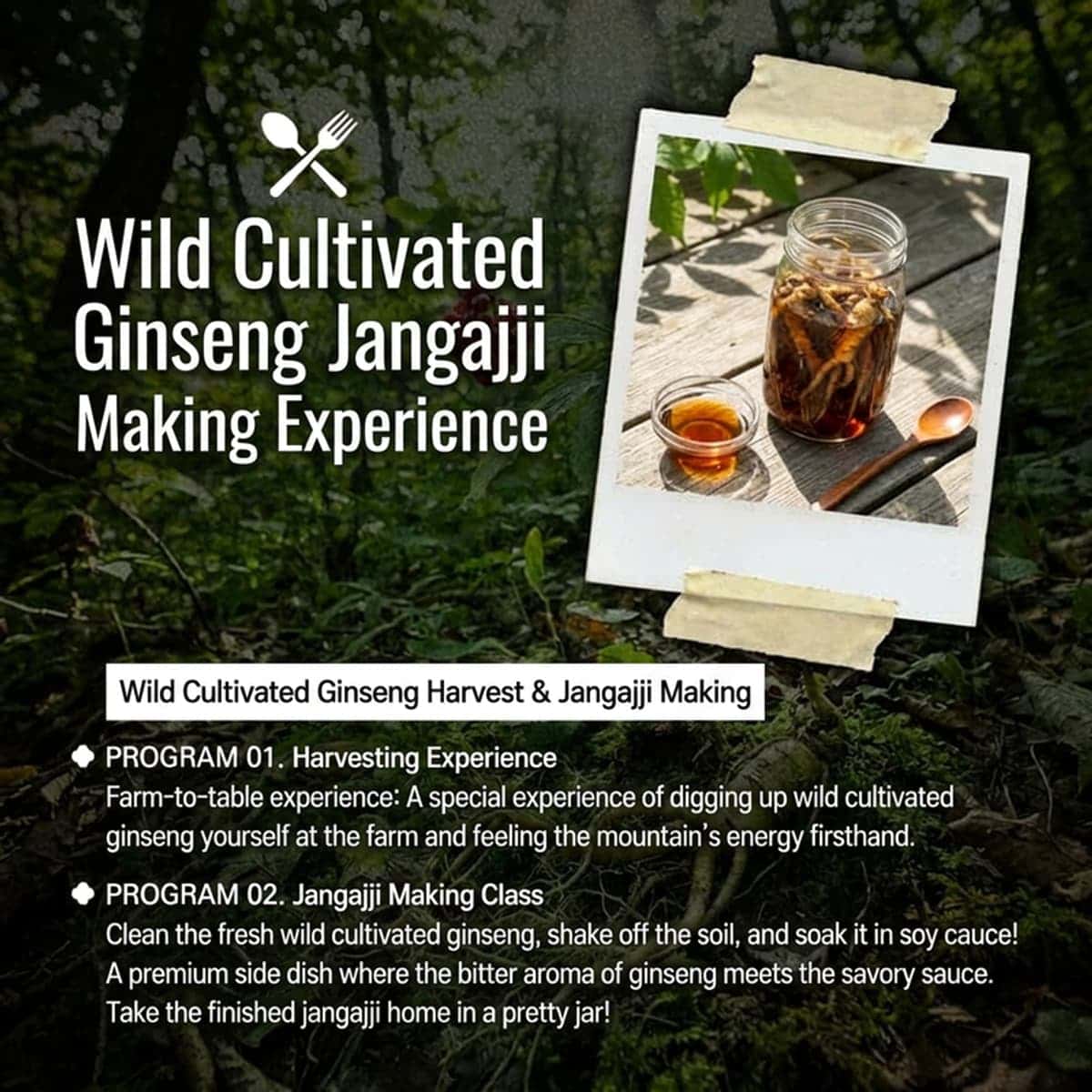 [Inje/Accommodation] Wildflower Forest, Heaven's Garden: Gombeoryeong photo 4