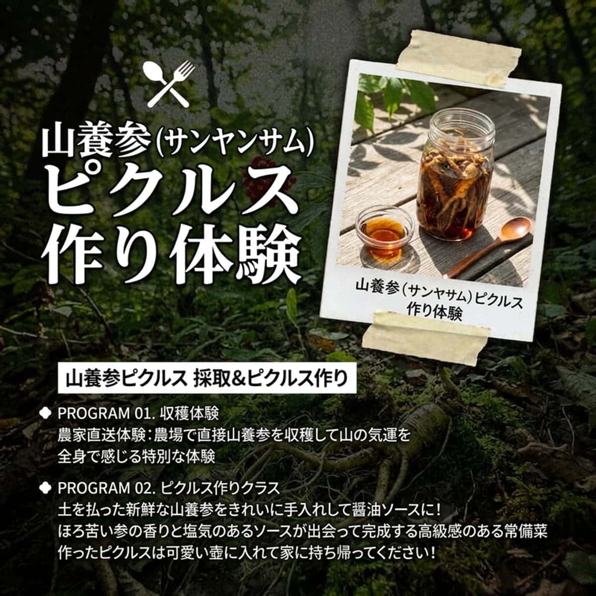 [麟蹄(インジェ)/宿泊]野生花の森、天上の花園、ゴンベリョン(熊腹嶺)の写真4