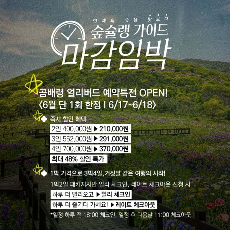 [인제/숙박]야생화의 숲 천상의 화원, 곰배령 사진 6