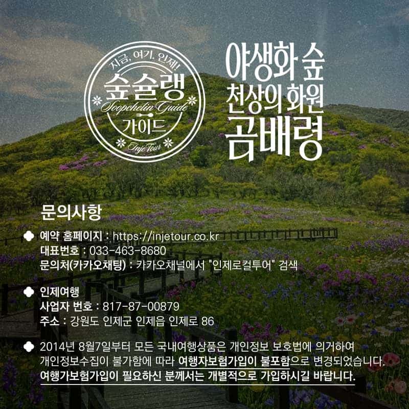 [인제/숙박]야생화의 숲 천상의 화원, 곰배령 사진 7