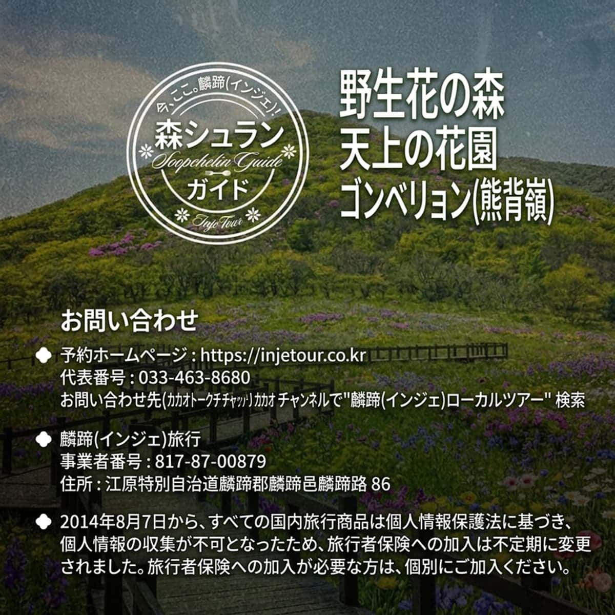[麟蹄(インジェ)/宿泊]野生花の森、天上の花園、ゴンベリョン(熊腹嶺)の写真7