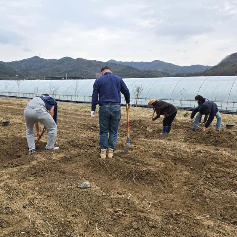 [潭陽/15時] 潭陽癒しの庭園ダムビッㅣ自然の癒やし時間、テラリウム・伴侶植物・園芸体験🧑🏻‍🌾の写真6