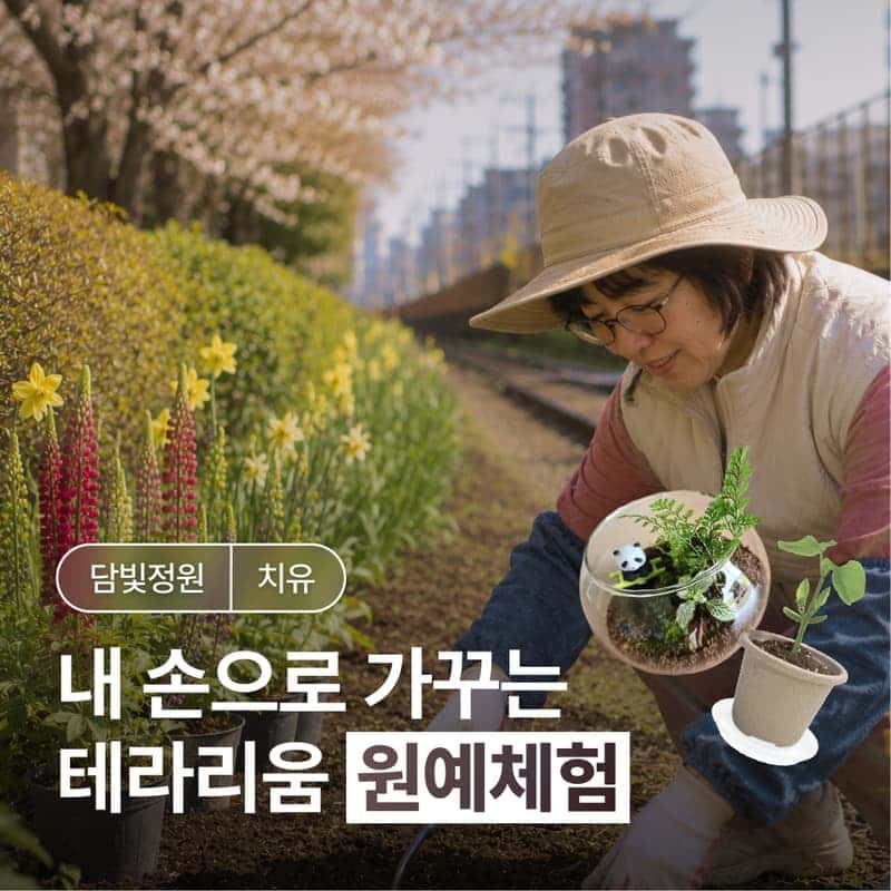 [담양/15시] 담양치유정원담빛ㅣ자연 치유 시간, 테라리움·반려식물·원예체험🧑🏻‍🌾