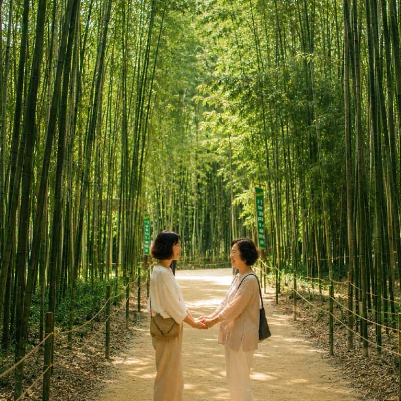 [담양/당일] 대나무숲 사운드워킹 테라피, 엄마와 담양 소리산책 🎧🎋 사진 3