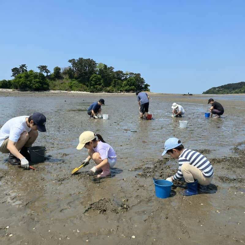 [仁川/1泊] 干潟体験と三食ごはんの紫月島（チャウォルド）島旅行！手ぶらでお越しくださいの写真2