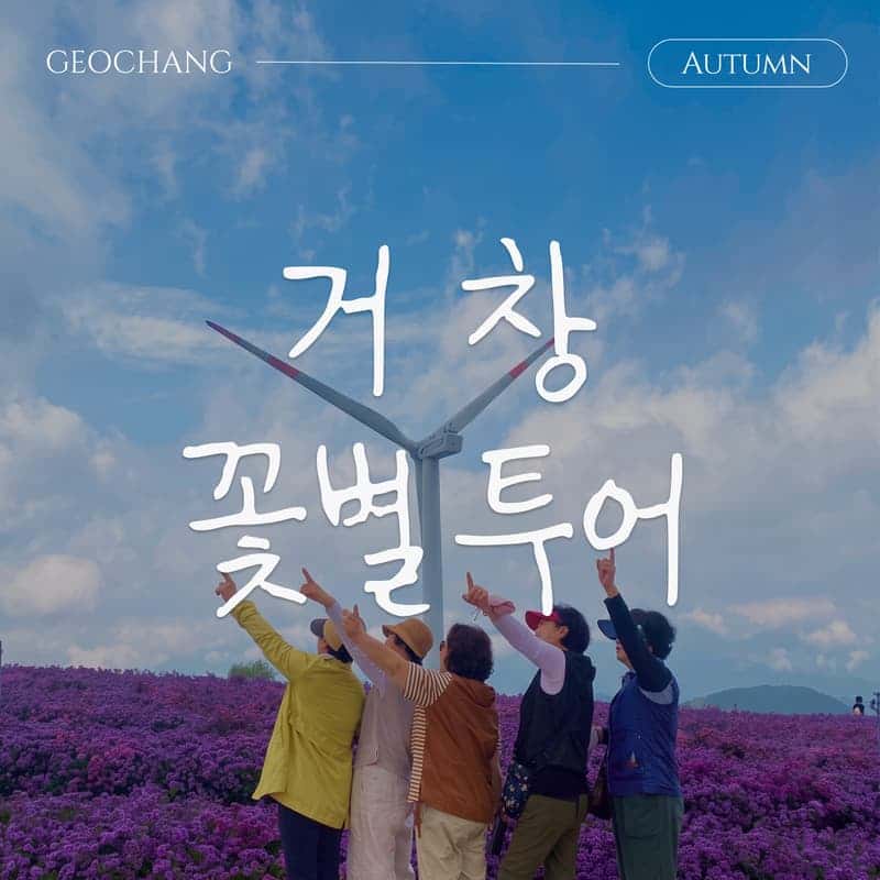 [거창/1박] 가을에 머무는 거창 꽃별투어 │ 국화축제 · 온천 · 로컬체험 · 3식