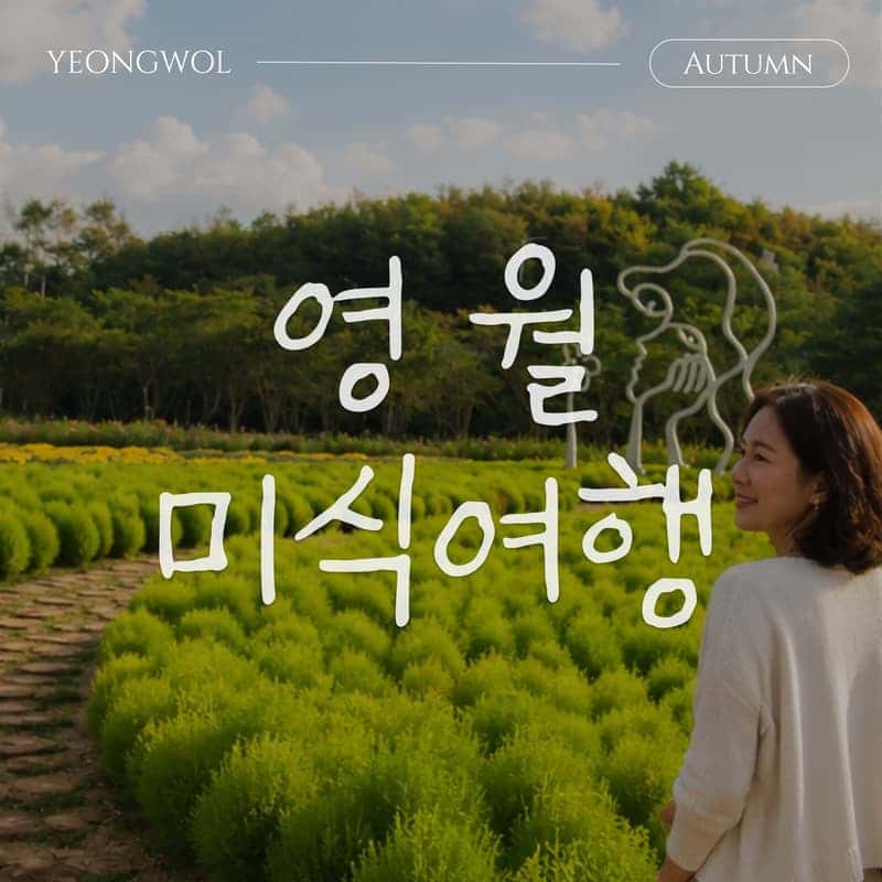 [영월/1박] 영월로 마실路 미식 패키지  | 식사4식 · 로컬체험3종 · 호텔1박 🥢